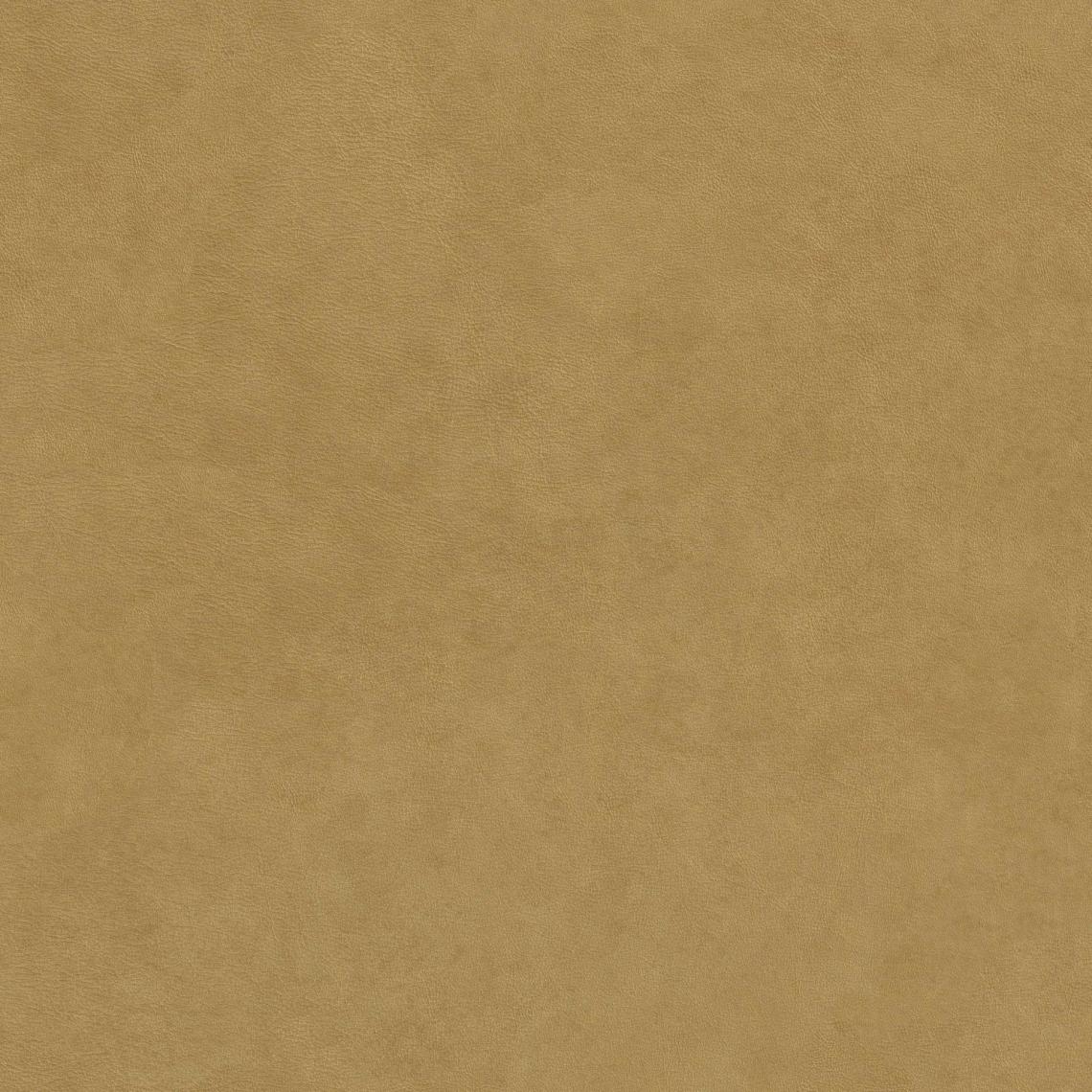 coverImages