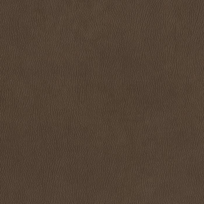 coverImages