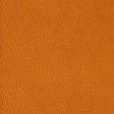coverImages