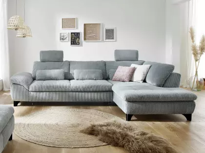 Welches Sofa mit Hund? Tipps & Modelle | Kabs