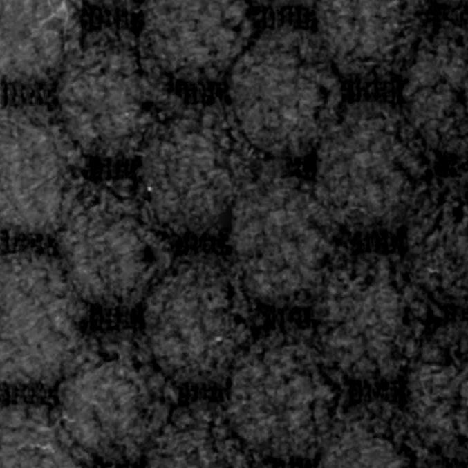 coverImages