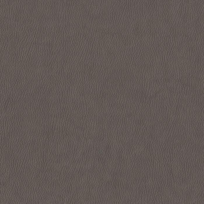 coverImages